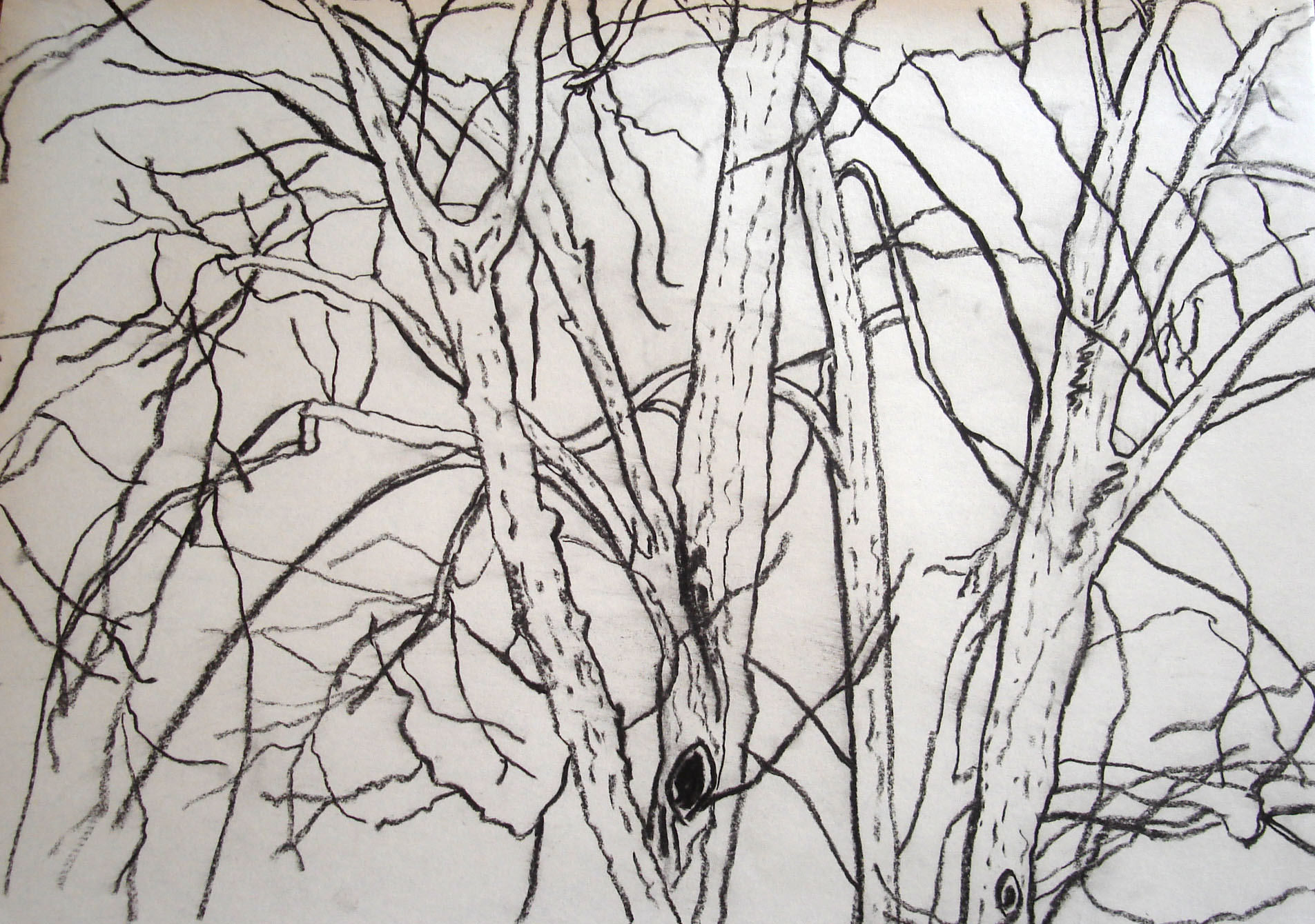 Dessin de Catherine, Manufacture des Gobelins