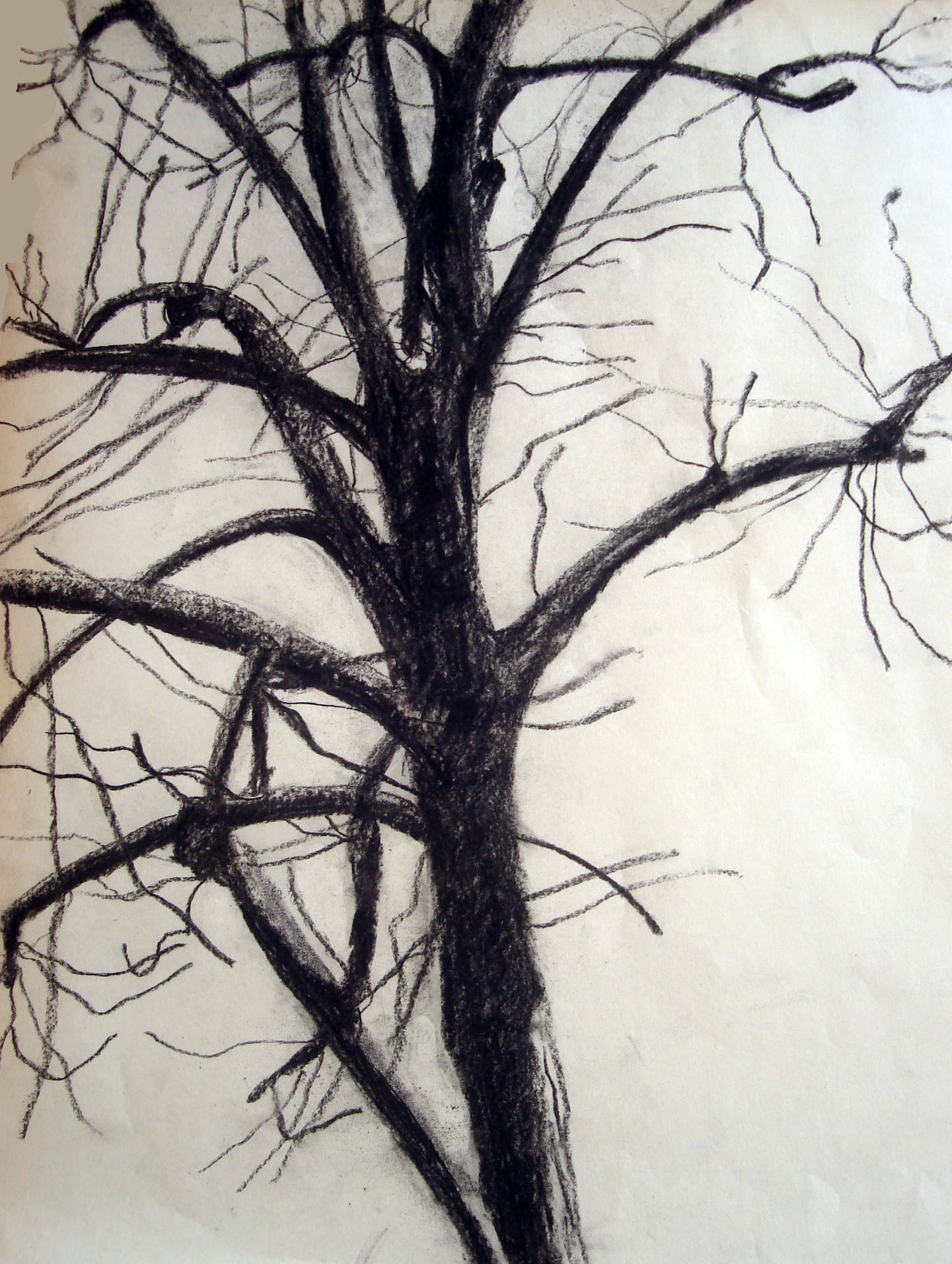 Dessin de Cynthia, Manufacture des Gobelins