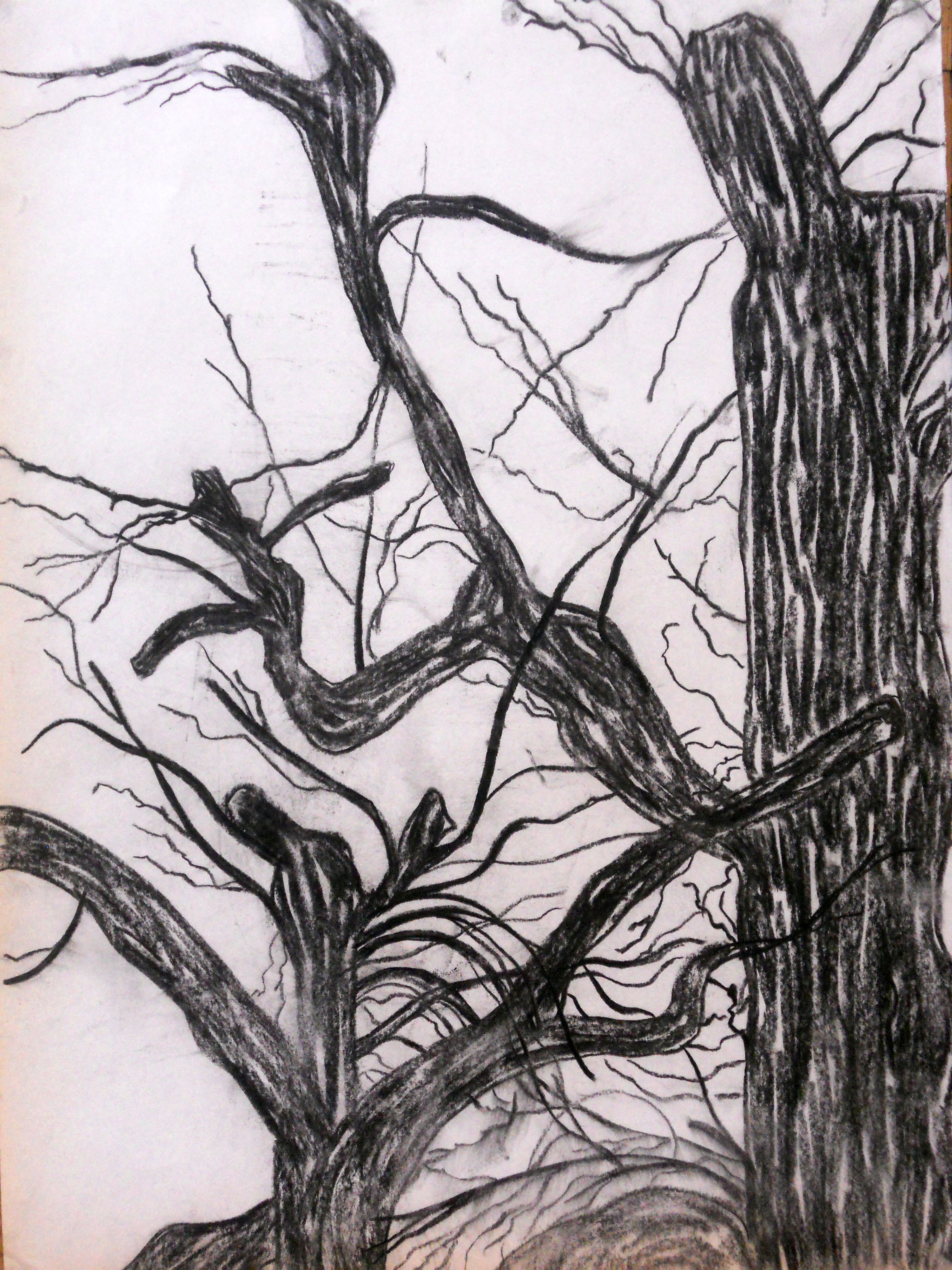 Dessin de Jane, Manufacture des Gobelins